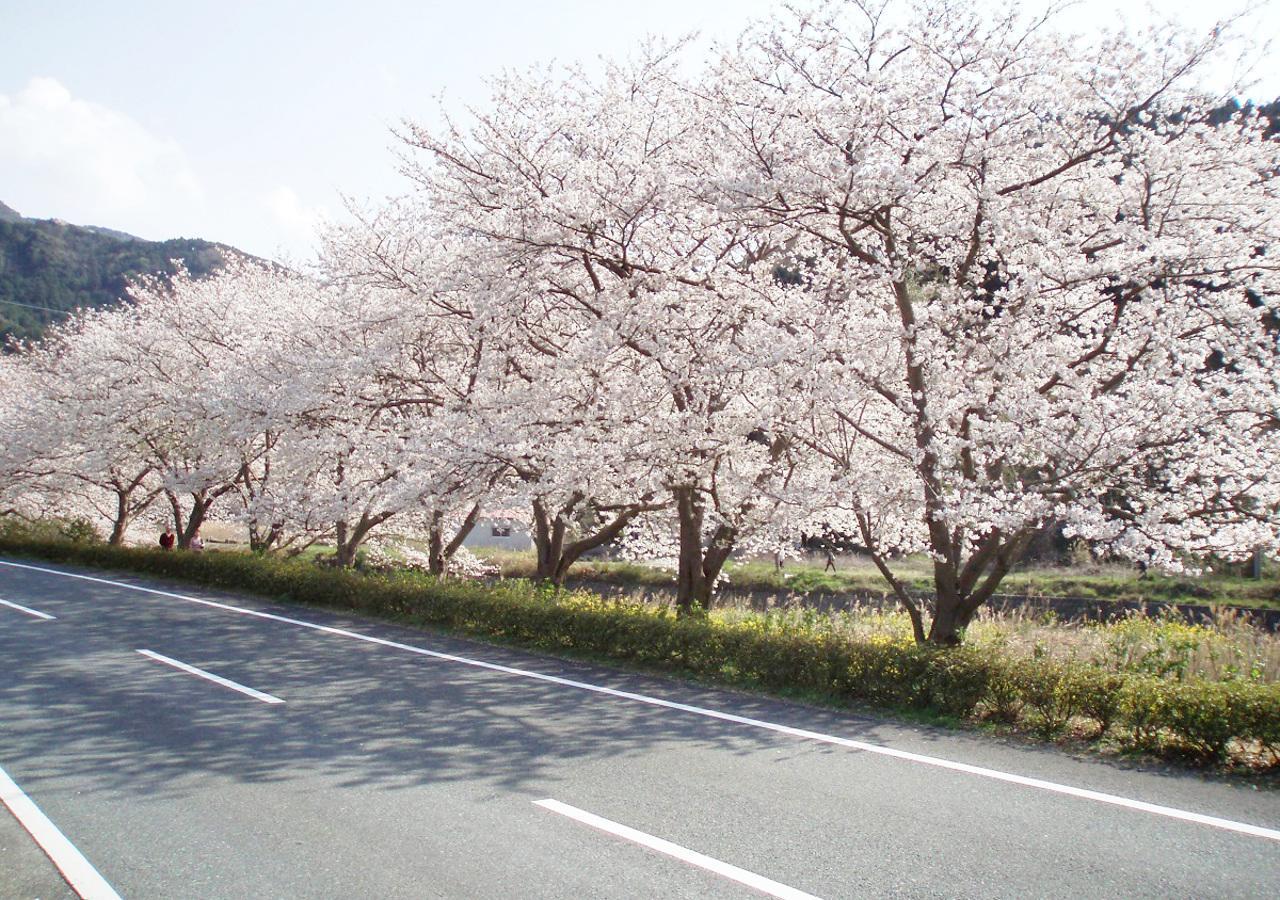 Nishiizu Matsuzaki Itoen Hotel Esterno foto